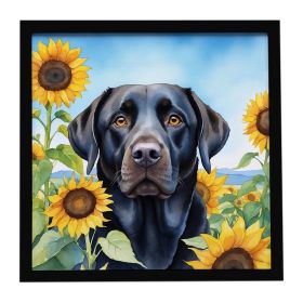 Labrador Retriever in Sunflowers Framed Metal Print Bathroom, Kitchen, Office, Home Decor Wall Art Ready to Hang, Square, 8X8