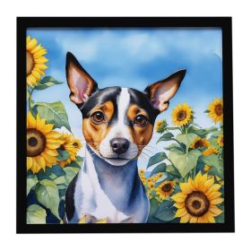 Rat Terrier in Sunflowers Framed Metal Print Bathroom, Kitchen, Office, Home Decor Wall Art Ready to Hang, Square, 8X8